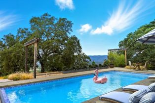 Single Family Residence, Pine Mountain road, Cloverdale, CA 95425 - 60