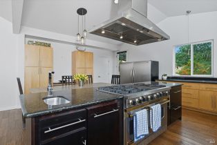 Single Family Residence, Pine Mountain road, Cloverdale, CA 95425 - 19