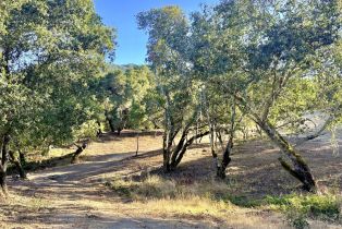Residential Lot, Parcel 2 Enterprise road, Glen Ellen, CA 95442 - 17
