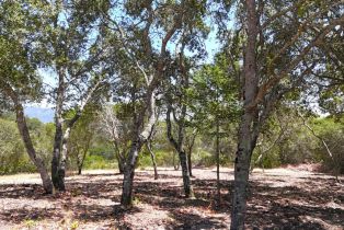 Residential Lot, Parcel 3 Enterprise road, Glen Ellen, CA 95442 - 7