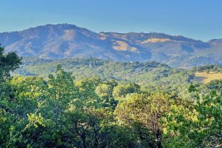 Residential Lot, Parcel 3 Enterprise road, Glen Ellen, CA 95442 - 9