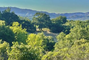 Residential Lot, Parcel 3 Enterprise road, Glen Ellen, CA 95442 - 11