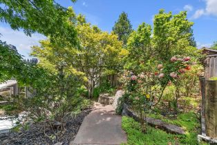 Single Family Residence,  Haven court, Sebastopol, CA 95472 - 55