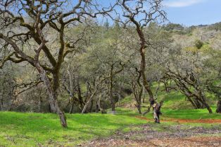 Single Family Residence,  Vista Grande drive, Santa Rosa, CA 95403 - 50