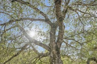 Single Family Residence,  Vista Grande drive, Santa Rosa, CA 95403 - 27