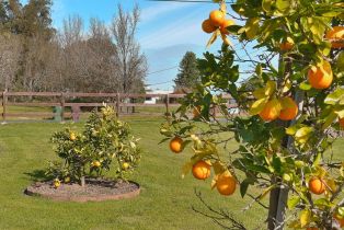 Single Family Residence,  Hall road, Santa Rosa, CA 95401 - 9