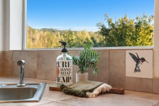 Single Family Residence,  Margie lane, Glen Ellen, CA 95442 - 16