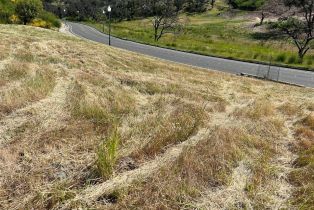 Residential Lot,  Silver Fox court, Santa Rosa, CA 95403 - 3