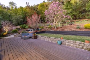 Single Family Residence,  Madrone avenue, Healdsburg, CA 95448 - 4