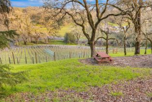 Single Family Residence,  Loch Haven drive, Santa Rosa, CA 95404 - 34