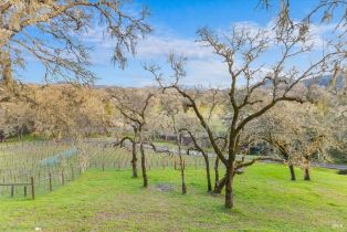 Single Family Residence,  Loch Haven drive, Santa Rosa, CA 95404 - 29