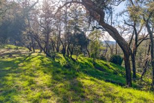 Single Family Residence,  HWY 128 highway, Healdsburg, CA 95448 - 19