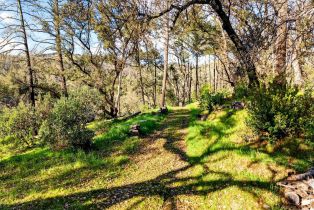 Single Family Residence,  HWY 128 highway, Healdsburg, CA 95448 - 18