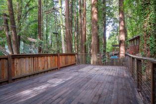 Single Family Residence,  Ice Box Canyon road, Russian River, CA 95436 - 35