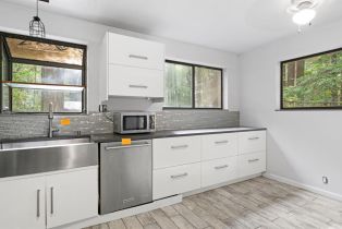 Single Family Residence,  Ice Box Canyon road, Russian River, CA 95436 - 26