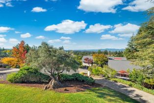 Single Family Residence,  Maui way, Napa, CA 94558 - 19