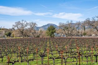 Single Family Residence,  Monticello road, Napa, CA 94558 - 43