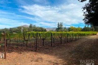 Single Family Residence,  Monticello road, Napa, CA 94558 - 60