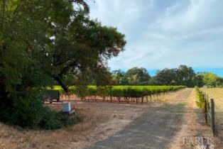 Single Family Residence,  Monticello road, Napa, CA 94558 - 66