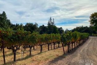 Single Family Residence,  Monticello road, Napa, CA 94558 - 64