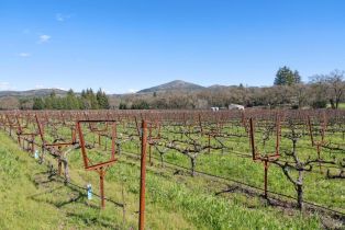 Single Family Residence,  Monticello road, Napa, CA 94558 - 51