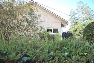 Single Family Residence,  D Street Extension street, Petaluma, CA 94952 - 2