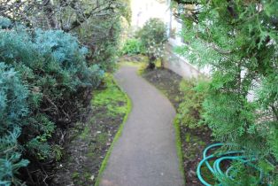 Single Family Residence,  D Street Extension street, Petaluma, CA 94952 - 6