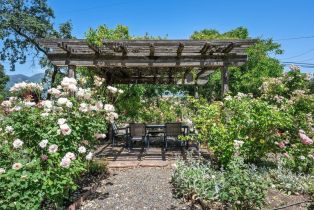 Single Family Residence,  State Highway 128 highway, Calistoga, CA 94515 - 45