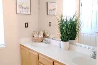 Single Family Residence,  Mitchell lane, Windsor, CA 95492 - 29