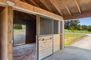 Single Family Residence,  Crane Canyon road, Santa Rosa, CA 95404 - 75