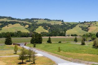 Single Family Residence,  Crane Canyon road, Santa Rosa, CA 95404 - 91