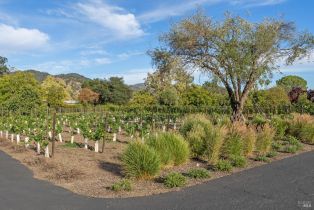 Single Family Residence,  Myrtledale road, Calistoga, CA 94515 - 64