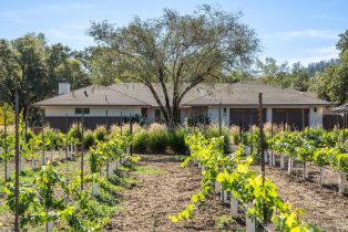 Single Family Residence,  Myrtledale road, Calistoga, CA 94515 - 70