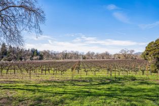 Residential Acreage,  Monticello road, Napa, CA 94558 - 21