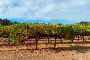 Residential Acreage,  Monticello road, Napa, CA 94558 - 62