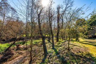 Condominium,  Bonnie Brook drive, Napa, CA 94558 - 54
