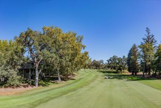 Condominium,  Bonnie Brook drive, Napa, CA 94558 - 71