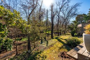 Condominium,  Bonnie Brook drive, Napa, CA 94558 - 52