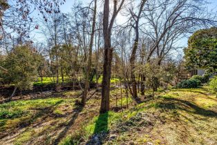 Condominium,  Bonnie Brook drive, Napa, CA 94558 - 59