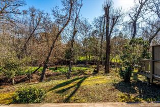 Condominium,  Bonnie Brook drive, Napa, CA 94558 - 61