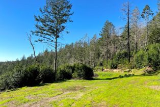 Residential Acreage, 2261 Mark West Springs road, Santa Rosa, CA 95404 - 9