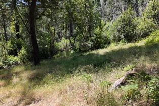 Residential Acreage, 2261 Mark West Springs road, Santa Rosa, CA 95404 - 26