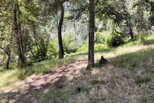 Residential Acreage, 2261 Mark West Springs road, Santa Rosa, CA 95404 - 29