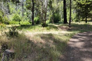 Residential Acreage, 2261 Mark West Springs road, Santa Rosa, CA 95404 - 25