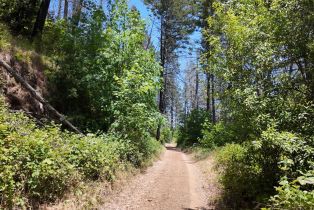 Residential Acreage, 2261 Mark West Springs road, Santa Rosa, CA 95404 - 20
