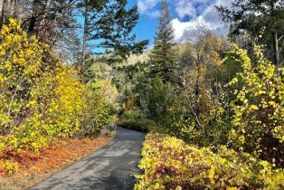 Residential Acreage, 2261 Mark West Springs road, Santa Rosa, CA 95404 - 4