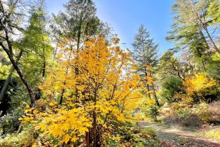 Residential Acreage, 2261 Mark West Springs road, Santa Rosa, CA 95404 - 11