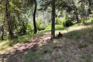 Residential Acreage, 2261 Mark West Springs road, Santa Rosa, CA 95404 - 28