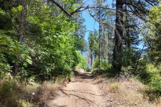 Residential Acreage, 2261 Mark West Springs road, Santa Rosa, CA 95404 - 19