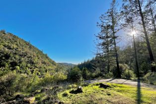 Residential Acreage, 2261 Mark West Springs road, Santa Rosa, CA 95404 - 7